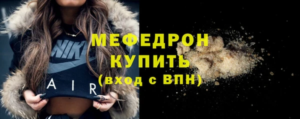 spice Инта