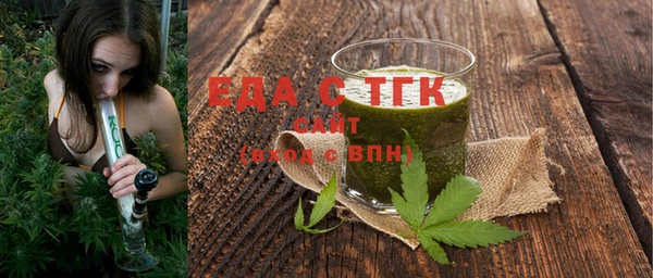 spice Инта
