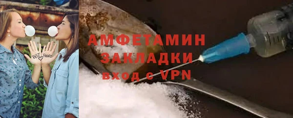 spice Инта