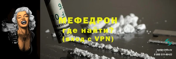 spice Инта