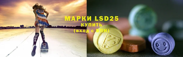 spice Инта