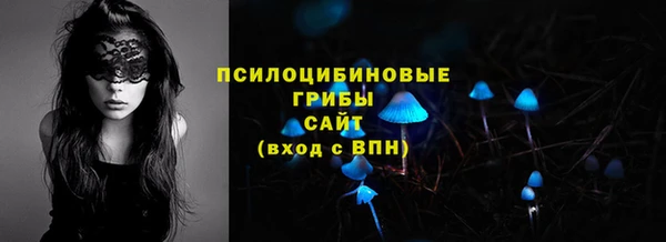 spice Инта