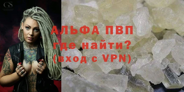 spice Инта