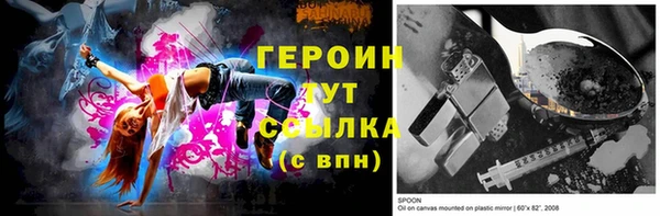 spice Инта