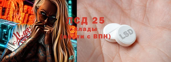 spice Инта