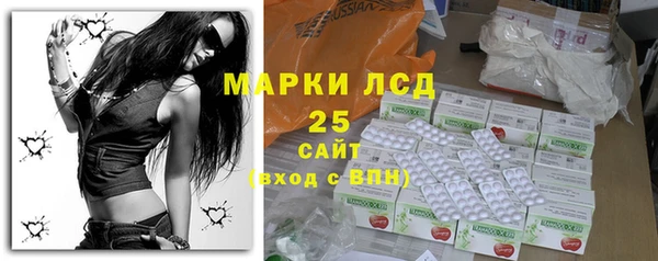 spice Инта