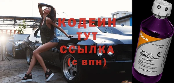 spice Инта