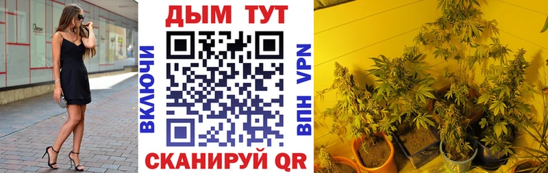 Шишки марихуана план  Купить закладки  Заречный 